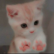 180x1681347584